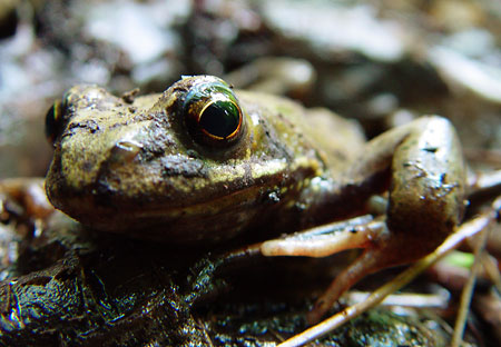 Jaký fotoaparát? – 8. díl: pokročilé funkce