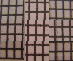 Sigma DP2: otestovali jsme Foveon!