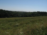 Canon PowerShot A540: Stříbrný šikula