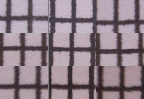 Panasonic Leica DG Vario-Elmarit 12-60mm / F2.8-4.0 ASPH. / Power O.I.S.