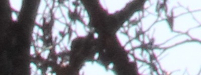 Megatest ultrazoomových objektivů