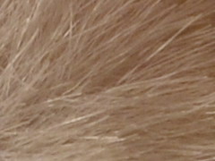 Nikon D3100: základ nabídky DSLR