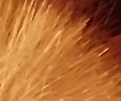 BenQ DC T1260: přítel citlivé peněženky