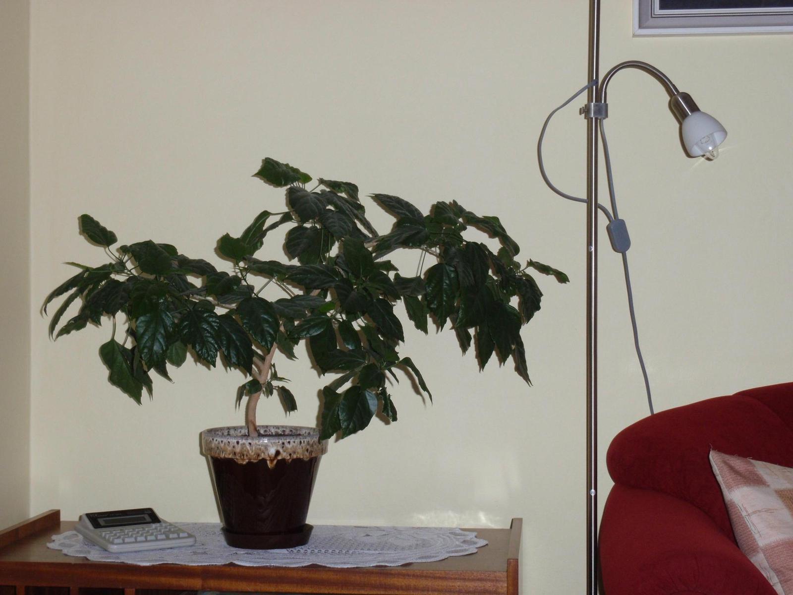 Olympus mju 9000: 10× ultrazoom v kompaktním balení