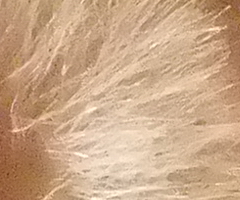 Fujifilm FinePix F300EXR: klame tělem