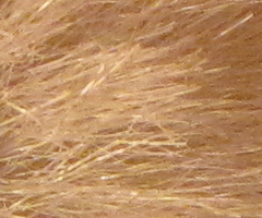 Canon PowerShot SX1 IS vs. SX10 IS: souboj CMOS a CCD