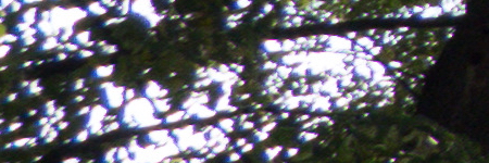 Panasonic Lumix FZ300: opět na špici