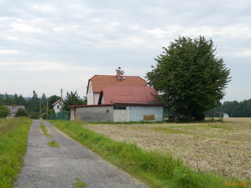 Panasonic Leica DG Summilux 25mm/F1.4 ASPH.