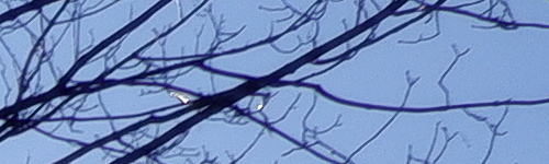 Fujinon XF 23mm F2 R WR