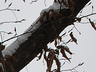 Dva objektivy nebo jeden ultrazoom?