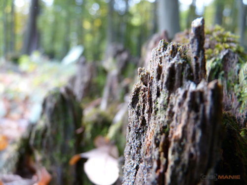 Panasonic Lumix FZ28: o krok blíže dokonalosti