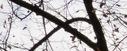 Panasonic Leica DG Vario-Summilux 25-50mm F1.7 ASPH.