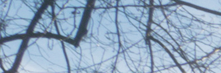 Panasonic Lumix G Vario 12-32mm f/3.5-5.6 ASPH. / MEGA O.I.S.