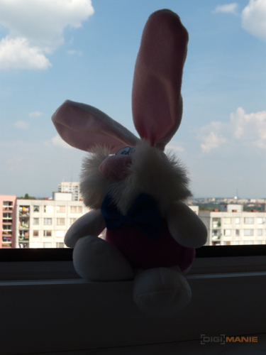 Nikon Coolpix P60: rychlý maratonec