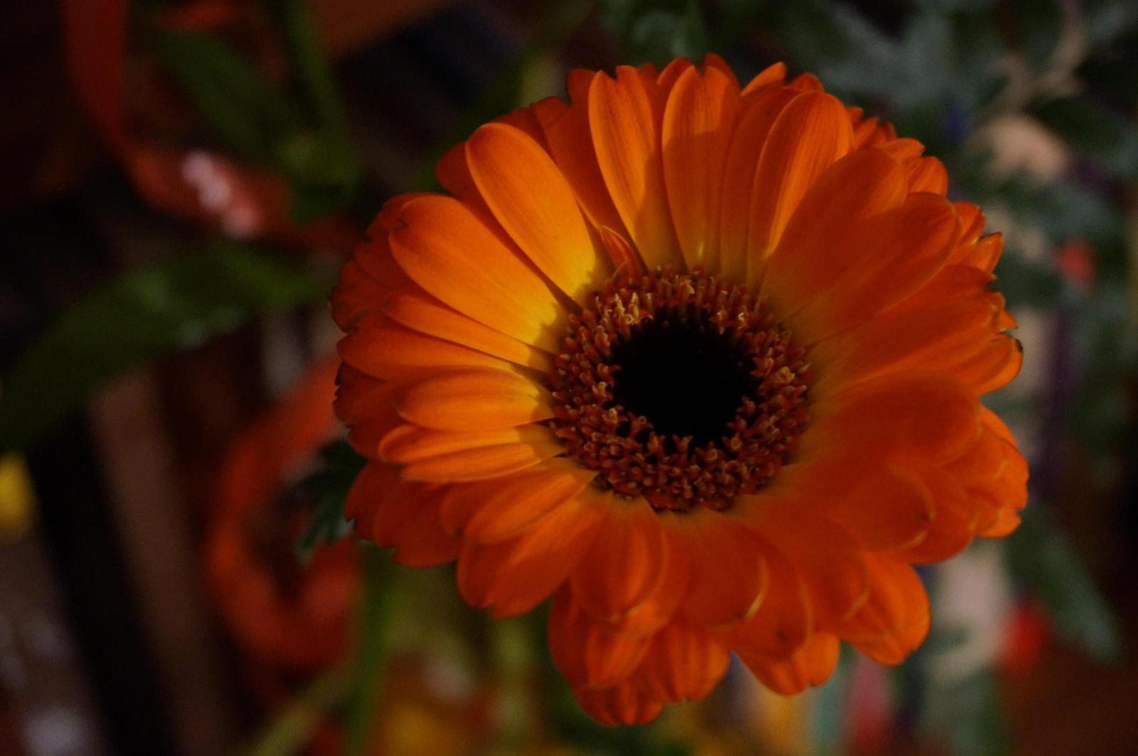 Sony NEX-6: pan dlouho očekávaný