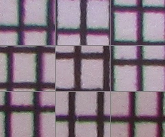 Canon PowerShot SX500 IS: fotící stroj času