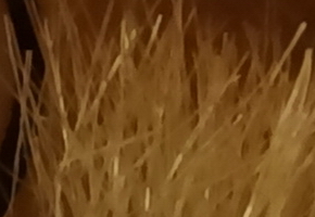 Sony Cyber-shot HX20V: umí snad všechno