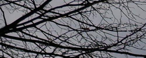 Panasonic Leica DG Vario-Summilux 25-50mm F1.7 ASPH.