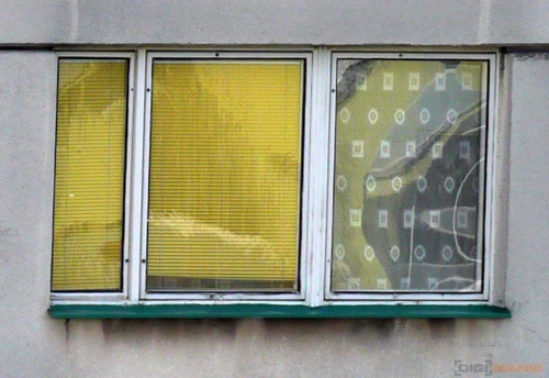 Fotíme s Koalou: Clona