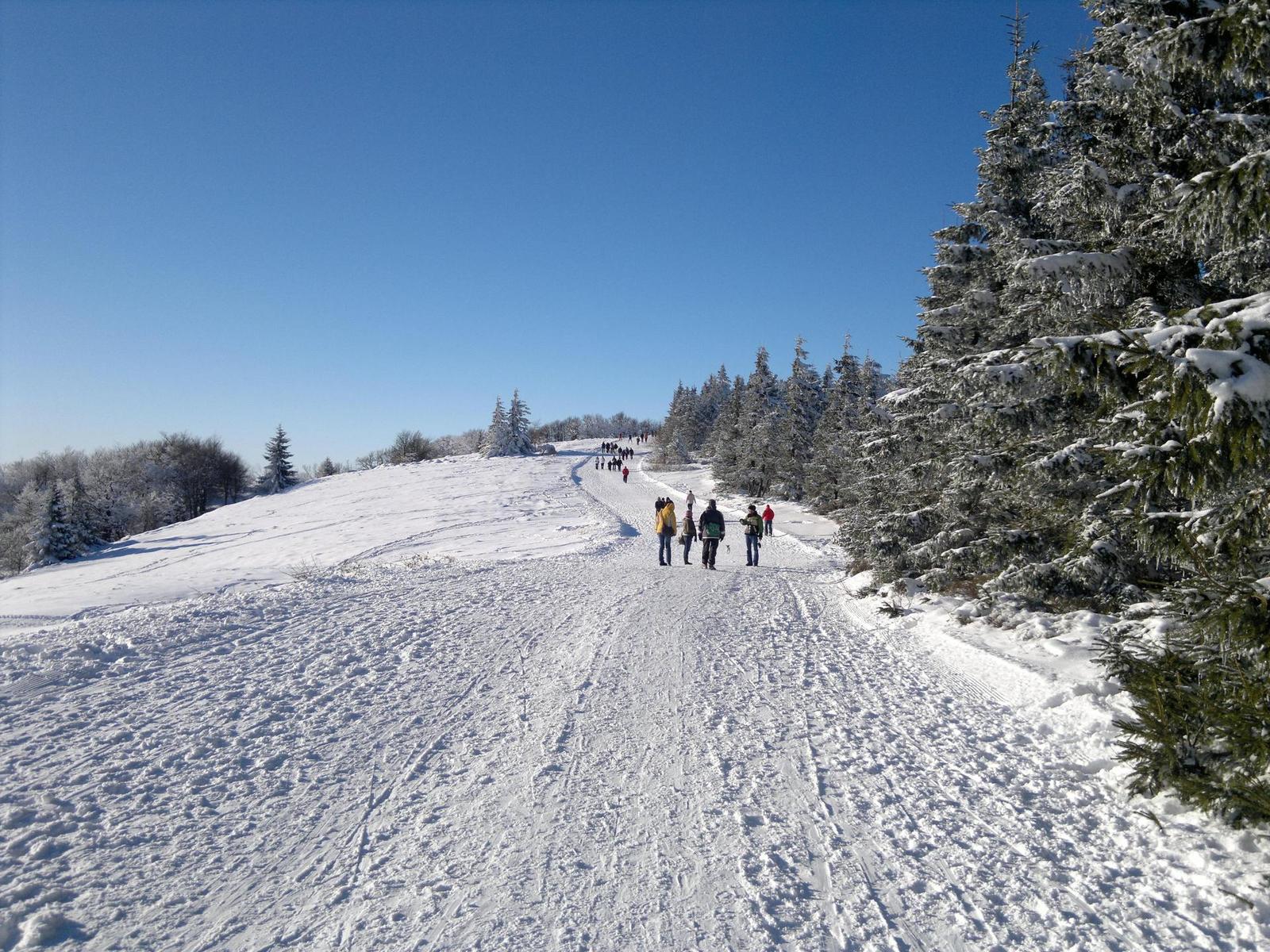 Nokia N8: lepší než kompakt?