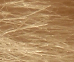 Olympus mju 9000: 10× ultrazoom v kompaktním balení