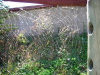 Coolpix L3: levný automat v praxi