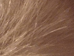 Fujifilm FinePix HS20EXR: důstojný nástupce