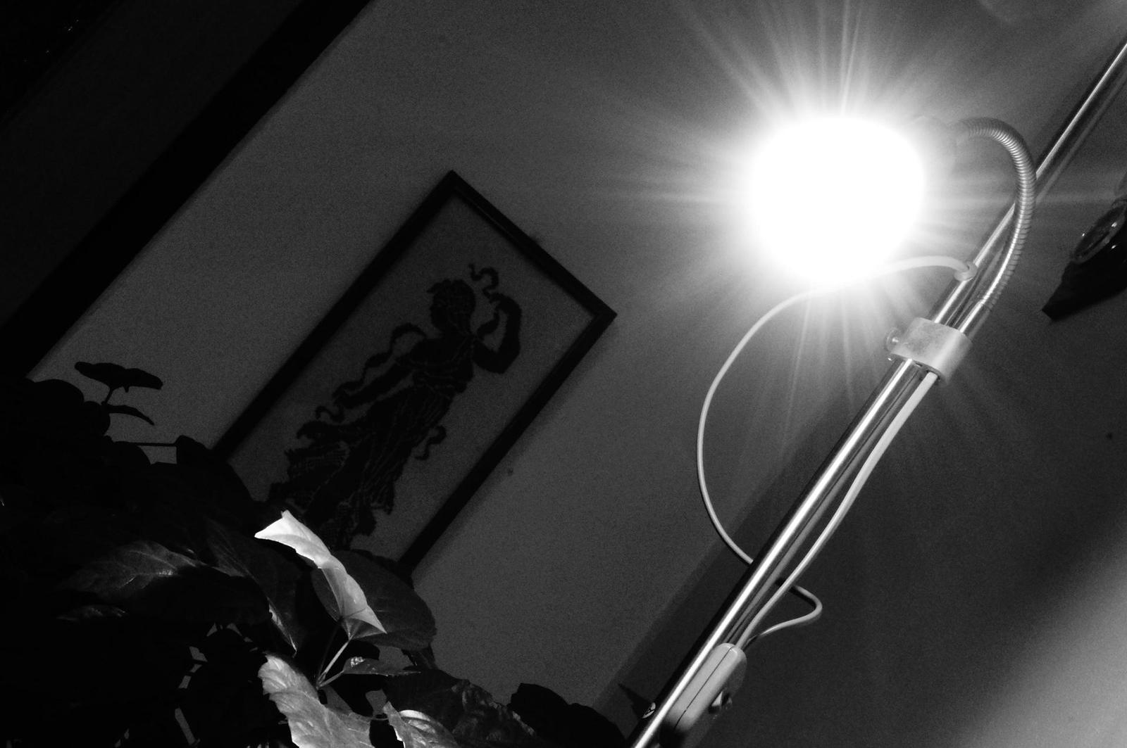 Sony NEX-5N: téměř ideální NEX