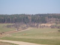 Olympus Camedia C-470 Zoom: Americký D-590