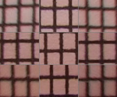 Olympus M.Zuiko Digital 40-150 mm F4-5,6 + nová R verze