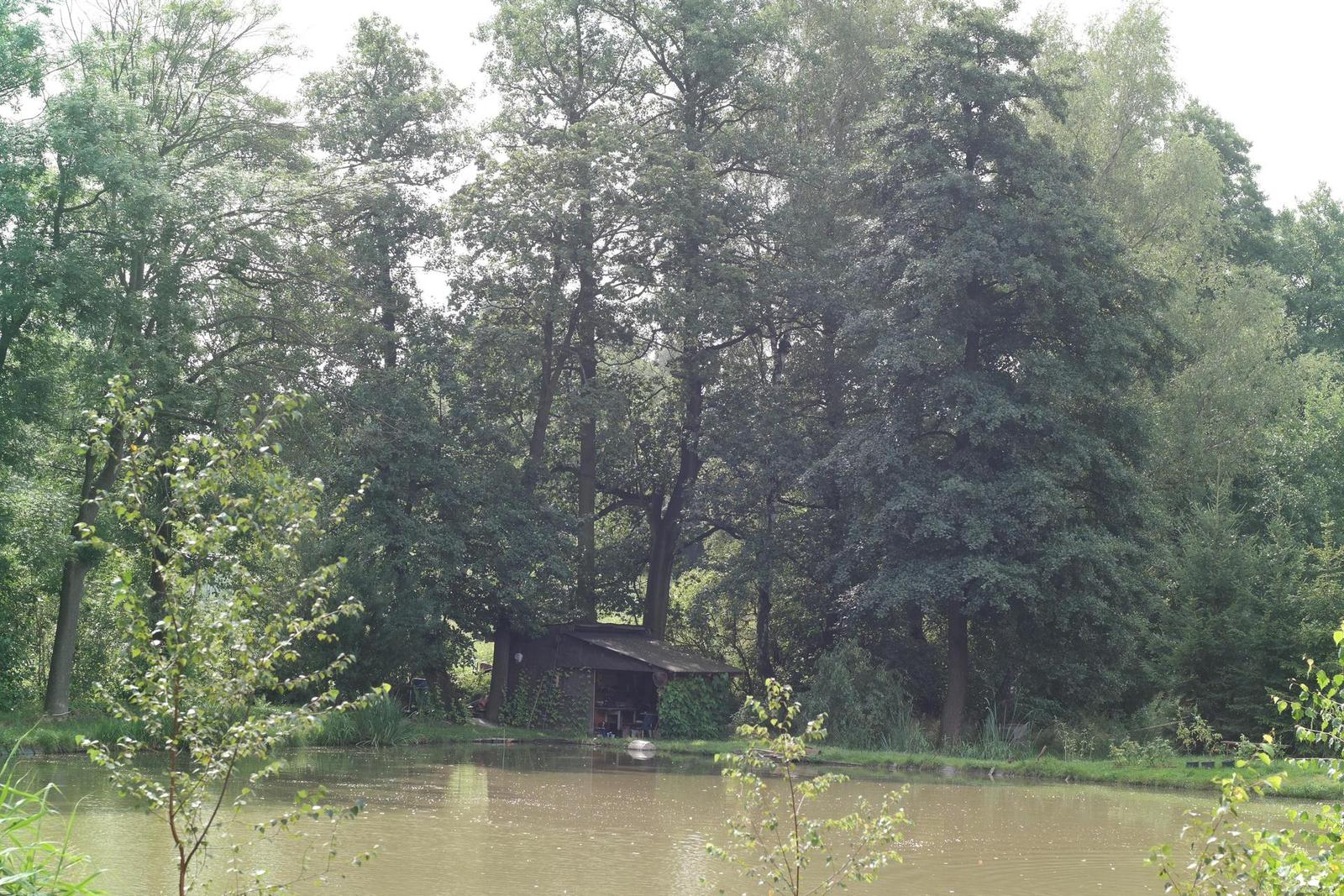 Olympus OM G.Zuiko 50mm f/1.4 "silver-nose"