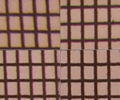 Canon EOS 550D: třídní premiant