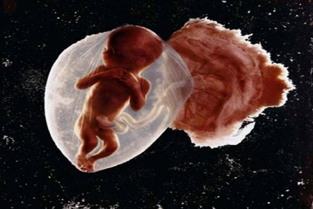 Světlo aneb nástroj každého fotografa - 3. díl