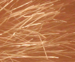 Canon EOS 500D: povedený pokračovatel rodu