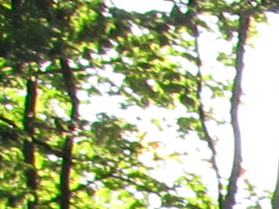 Canon IXUS 300 HS: superstylovka i pro náročné