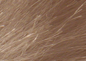 Panasonic Lumix G3: menší a lehčí, je i lepší?