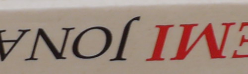 Panasonic Lumix G Vario 100-300mm F4-5,6