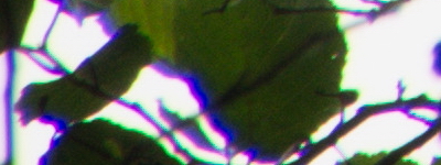 Tamron 16-300mm f/3.5-6.3 Di II VC PZD Macro