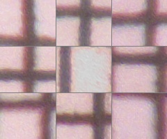 Fujifilm FinePix HS20EXR: důstojný nástupce