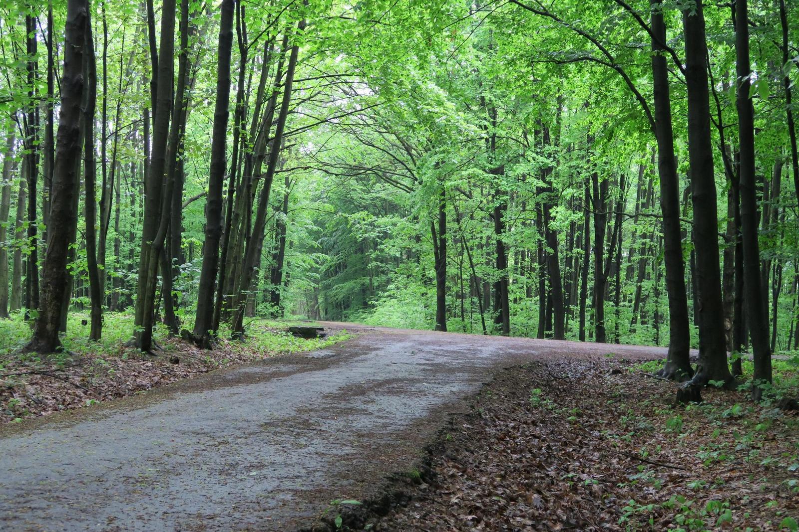 Canon PowerShot G5 X: vyspělejší brácha