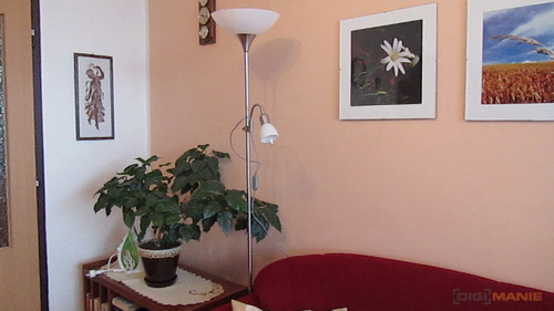 Canon PowerShot SX210 IS: s překvapivou zbraní