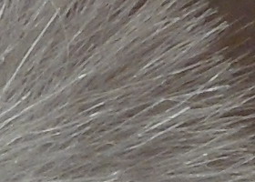 Samsung WB210: dotkněte se 21 milimetrů!