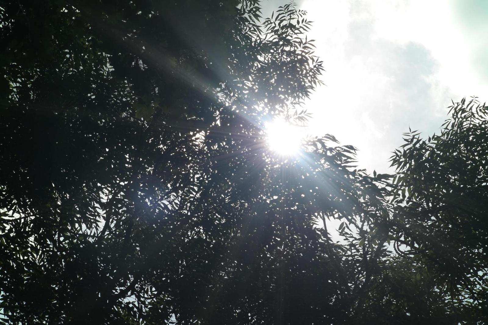 Jupiter-9 85mm F2.0 (M39)