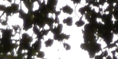 Samsung WB210: dotkněte se 21 milimetrů!