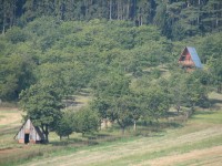 Canon PowerShot S2 IS: dvanáctinásobné oko Canonovo