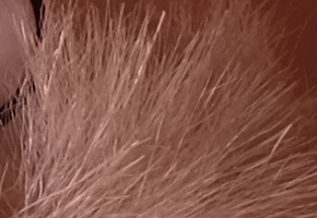 Fujifilm X-M1: našlapaná stylovka