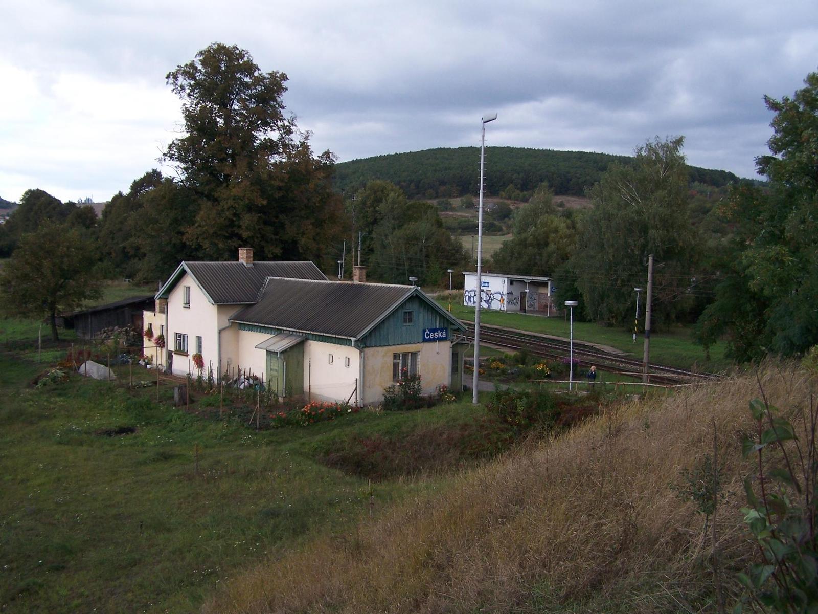 Kodak EasyShare DX7590: Easy ride