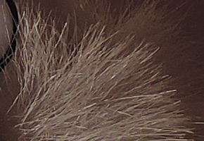 Nikon Coolpix P330: do vyšších sfér