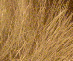 Samsung NX100: "zrcadlovka" do kapsy