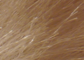 Panasonic Lumix G3: menší a lehčí, je i lepší?